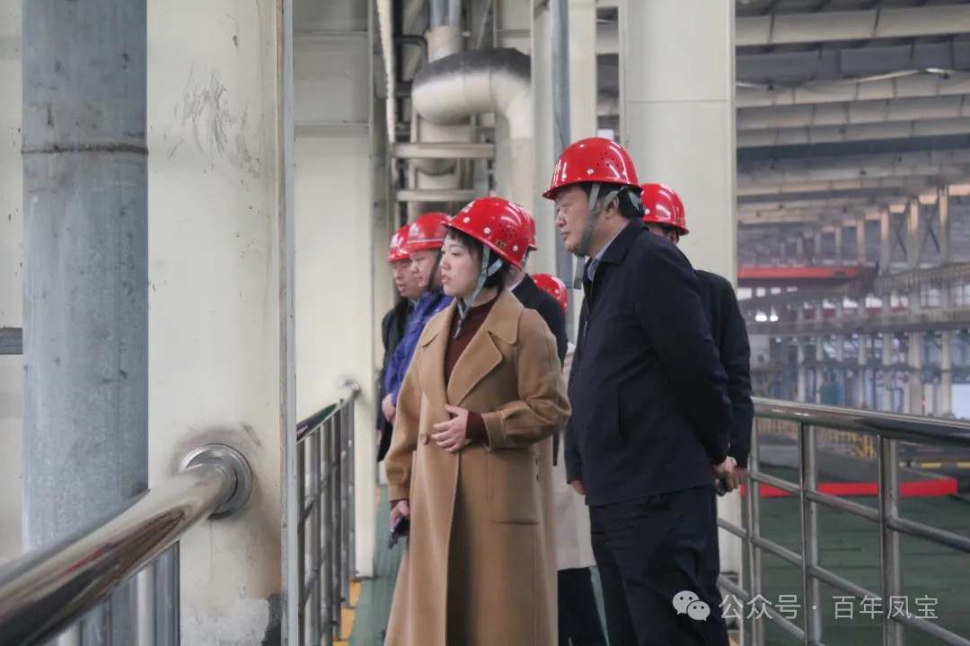 陈佳到九游体育(中国)调研