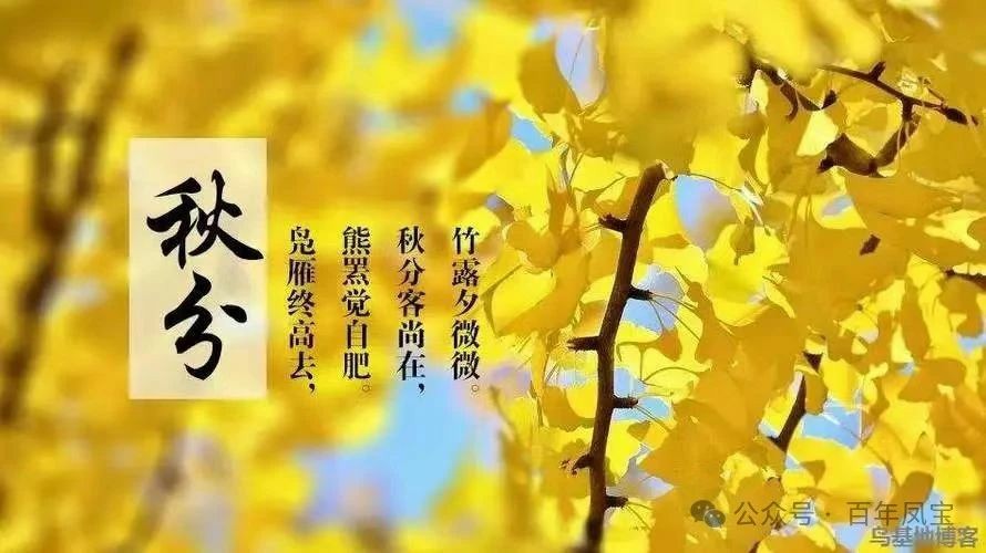 二十四节气|秋分