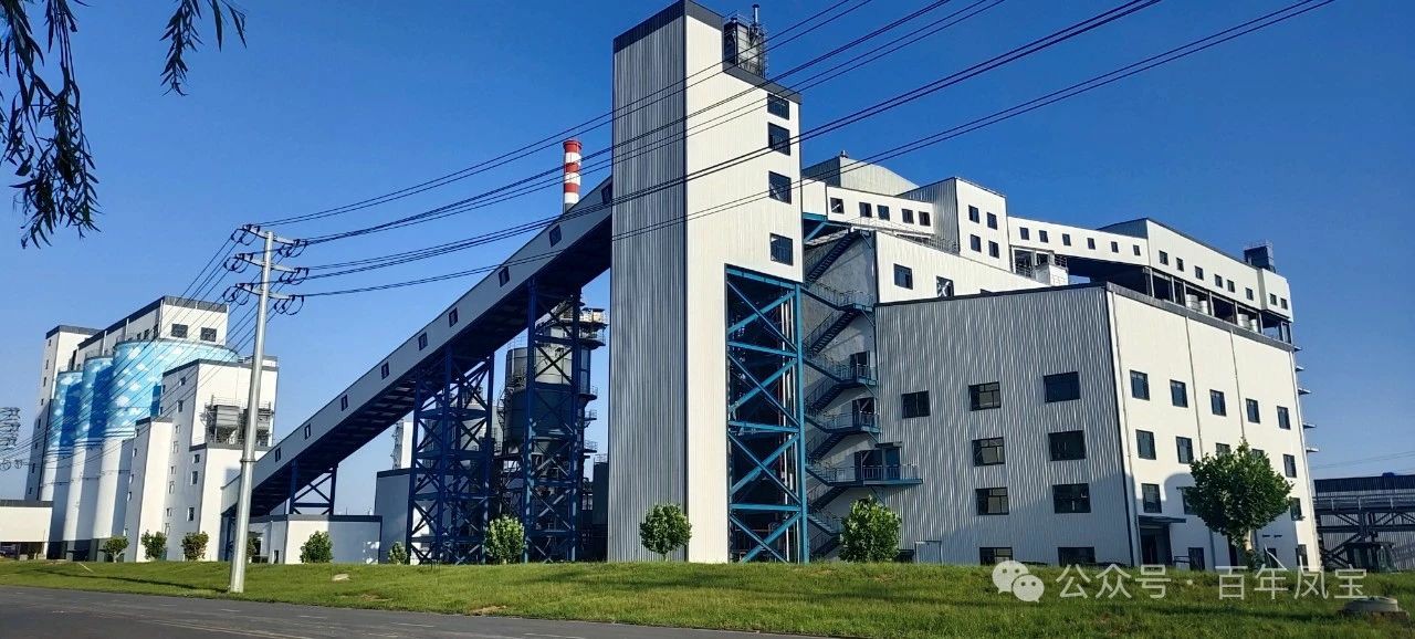 宋争辉到九游体育（中国）集团调研